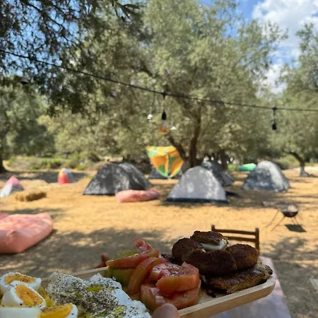 Camping אתר קמפינג בורש