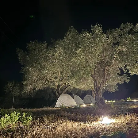Camping * בורש