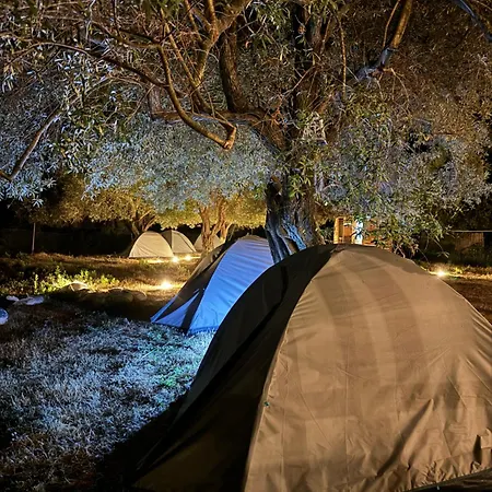 Camping * בורש