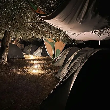 Camping בורש