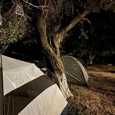 Camping אתר קמפינג *