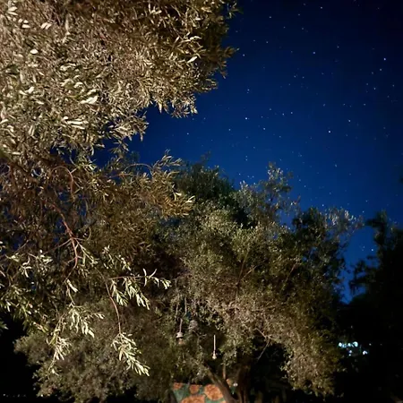 אתר קמפינג Camping *