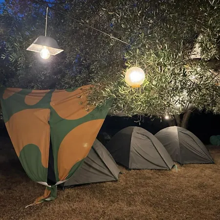 אתר קמפינג Camping בורש