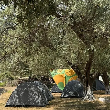אתר קמפינג Camping *