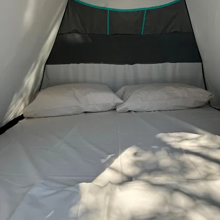 Camping בורש
