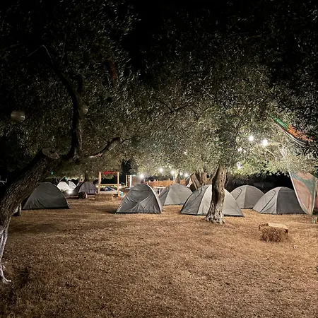 Camping