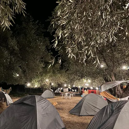 Camping Borsh